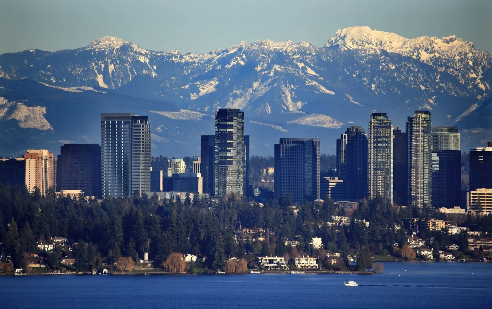 Making moves simple, fast, and stress-free for families and businesses across Bellevue, WA